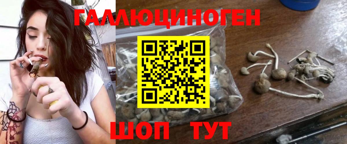 Галлюциногенные грибы Cubensis  Вход с VPN  Ковров 