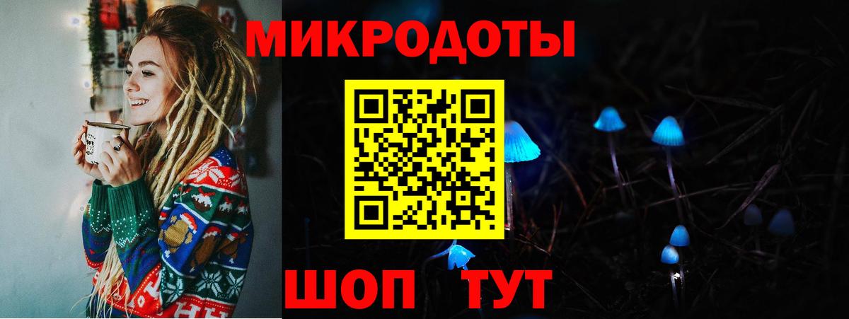 Псилоцибиновые грибы Cubensis Ковров